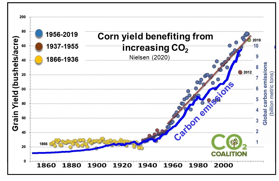 Corn Yield Trends