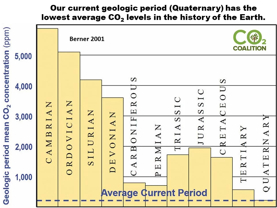 CO2 Concentration Data (6)